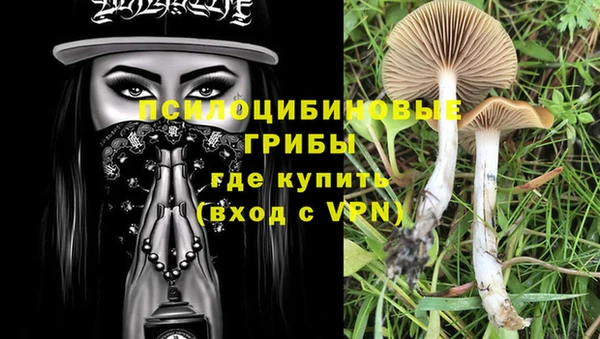 apvp Абаза