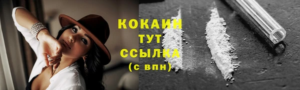 apvp Абаза