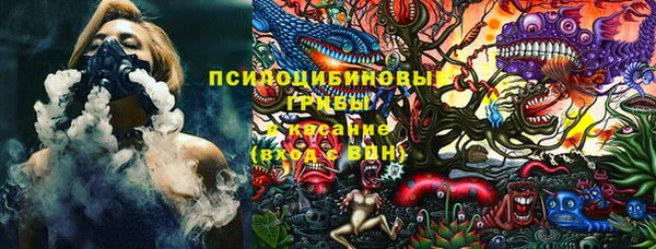 apvp Абаза